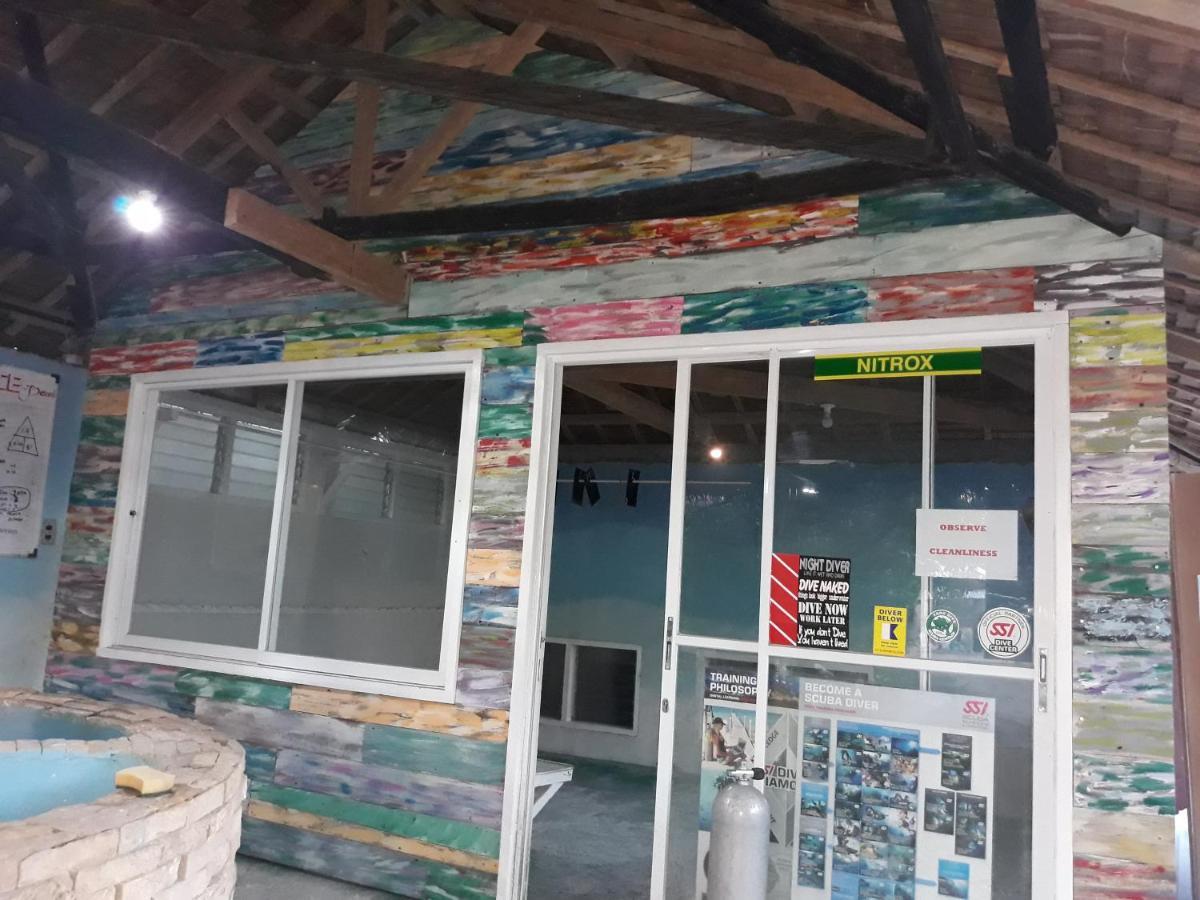 The Shark'S Tail Dive Center Hotel Daanbantayan Exterior photo
