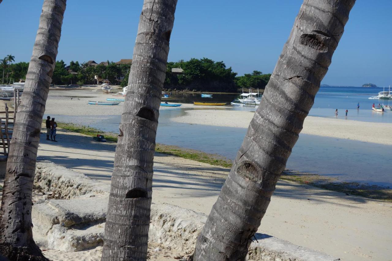The Shark'S Tail Dive Center Hotel Daanbantayan Exterior photo